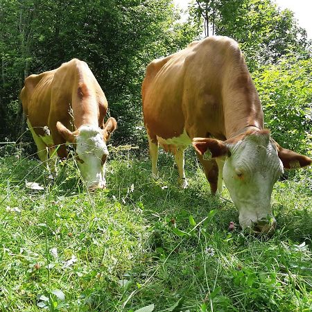 Hansenhof Prägraten Kültér fotó