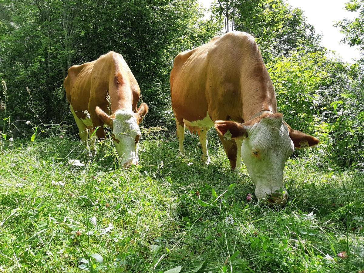 Hansenhof Prägraten Kültér fotó